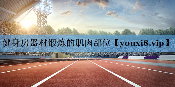健身房器材锻炼的肌肉部位